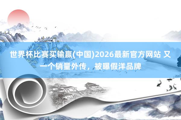 世界杯比赛买输赢(中国)2026最新官方网站 又一个销量外传，被曝假洋品牌