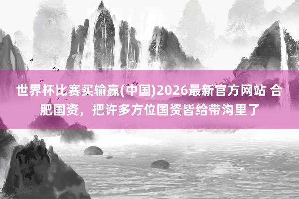 世界杯比赛买输赢(中国)2026最新官方网站 合肥国资，把许多方位国资皆给带沟里了