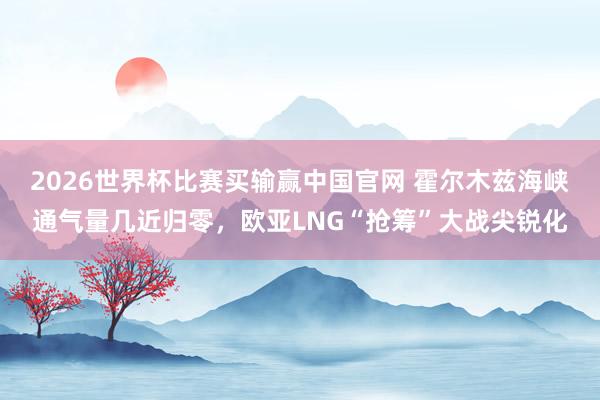 2026世界杯比赛买输赢中国官网 霍尔木兹海峡通气量几近归零，欧亚LNG“抢筹”大战尖锐化