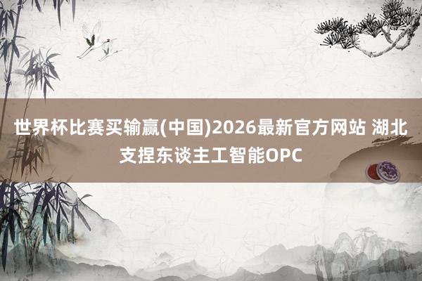 世界杯比赛买输赢(中国)2026最新官方网站 湖北支捏东谈主工智能OPC