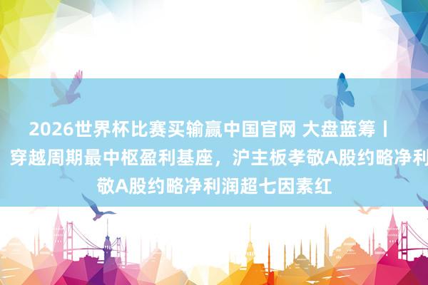 2026世界杯比赛买输赢中国官网 大盘蓝筹丨 “稳”字当头：穿越周期最中枢盈利基座，沪主板孝敬A股约略净利润超七因素红