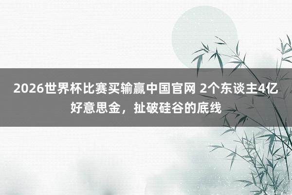 2026世界杯比赛买输赢中国官网 2个东谈主4亿好意思金，扯破硅谷的底线