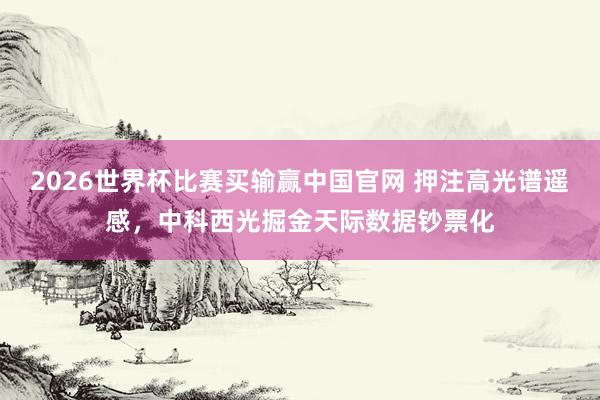 2026世界杯比赛买输赢中国官网 押注高光谱遥感，中科西光掘金天际数据钞票化