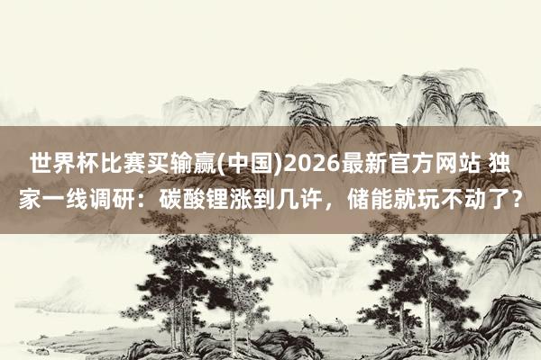 世界杯比赛买输赢(中国)2026最新官方网站 独家一线调研：碳酸锂涨到几许，储能就玩不动了？