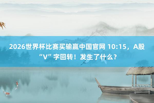 2026世界杯比赛买输赢中国官网 10:15，A股“V”字回转！发生了什么？