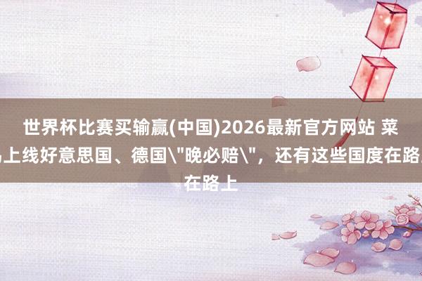 世界杯比赛买输赢(中国)2026最新官方网站 菜鸟上线好意思国、德国