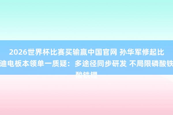 2026世界杯比赛买输赢中国官网 孙华军修起比亚迪电板本领单一质疑：多途径同步研发 不局限磷酸铁锂