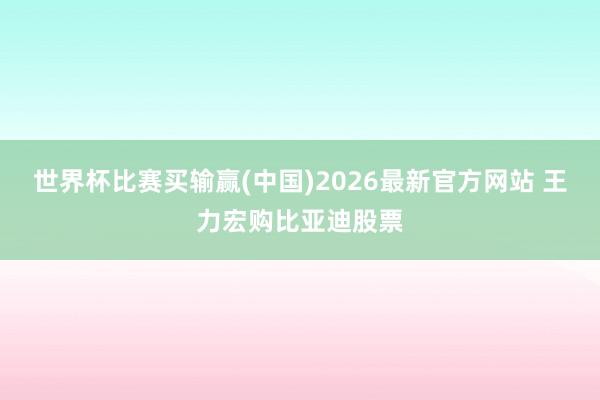 世界杯比赛买输赢(中国)2026最新官方网站 王力宏购比亚迪股票
