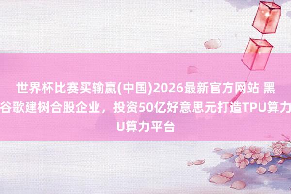 世界杯比赛买输赢(中国)2026最新官方网站 黑石与谷歌建树合股企业，投资50亿好意思元打造TPU算力平台