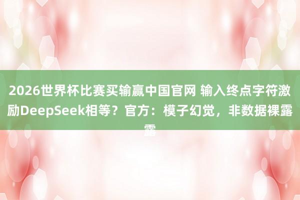 2026世界杯比赛买输赢中国官网 输入终点字符激励DeepSeek相等？官方：模子幻觉，非数据裸露