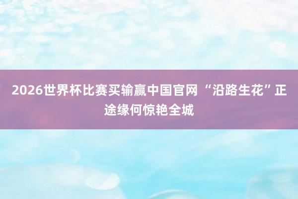 2026世界杯比赛买输赢中国官网 “沿路生花”正途缘何惊艳全城