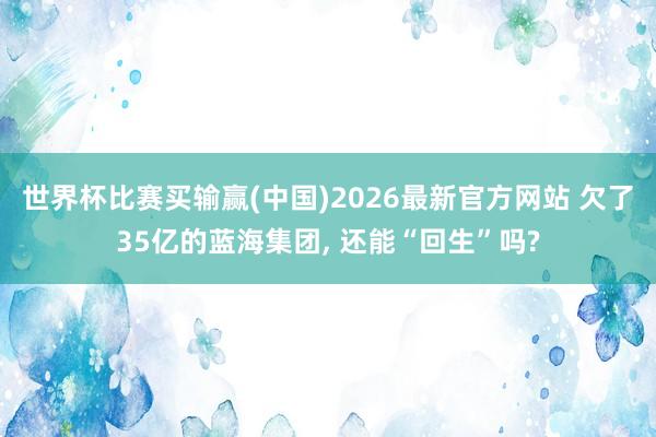 世界杯比赛买输赢(中国)2026最新官方网站 欠了35亿的蓝海集团， 还能“回生”吗?