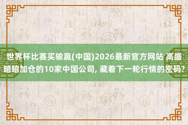 世界杯比赛买输赢(中国)2026最新官方网站 高盛暗暗加仓的10家中国公司， 藏着下一轮行情的密码?