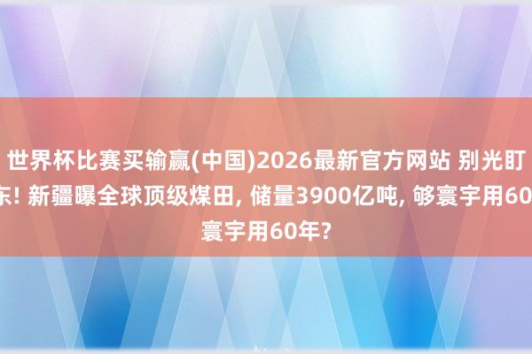 世界杯比赛买输赢(中国)2026最新官方网站 别光盯中东! 新疆曝全球顶级煤田， 储量3900亿吨， 够寰宇用60年?