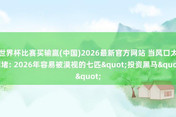 世界杯比赛买输赢(中国)2026最新官方网站 当风口太拥堵: 2026年容易被漠视的七匹"投资黑马"