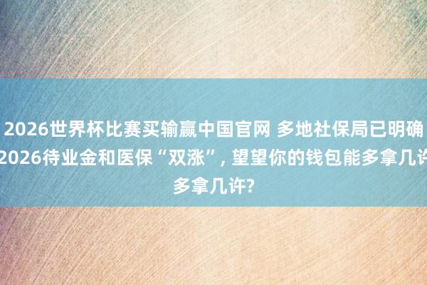 2026世界杯比赛买输赢中国官网 多地社保局已明确! 2026待业金和医保“双涨”， 望望你的钱包能多拿几许?