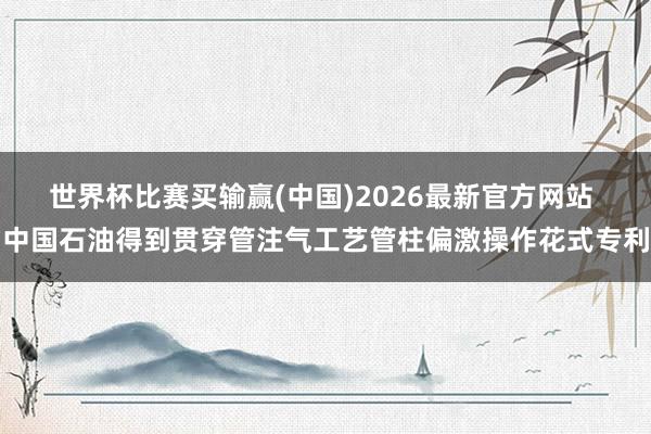 世界杯比赛买输赢(中国)2026最新官方网站 中国石油得到贯穿管注气工艺管柱偏激操作花式专利