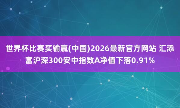 世界杯比赛买输赢(中国)2026最新官方网站 汇添富沪深300安中指数A净值下落0.91%