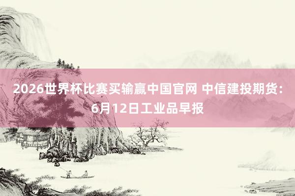 2026世界杯比赛买输赢中国官网 中信建投期货：6月12日工业品早报