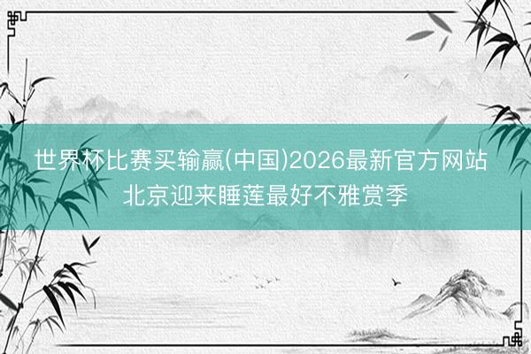 世界杯比赛买输赢(中国)2026最新官方网站 北京迎来睡莲最好不雅赏季