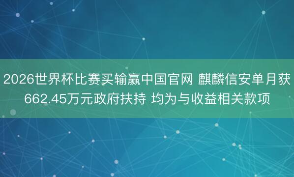 2026世界杯比赛买输赢中国官网 麒麟信安单月获662.45万元政府扶持 均为与收益相关款项